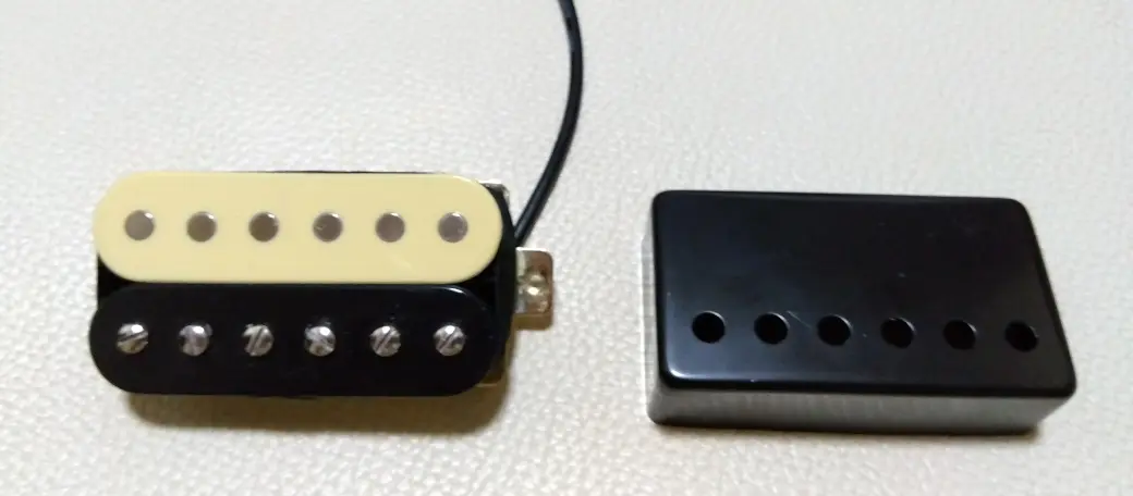 ゼブラと黒カバー